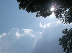 夏季甲醛浓度高有效开窗通风是关键