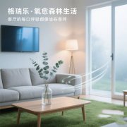 客厅的 “节日氛围制造机”，格瑞乐扮的