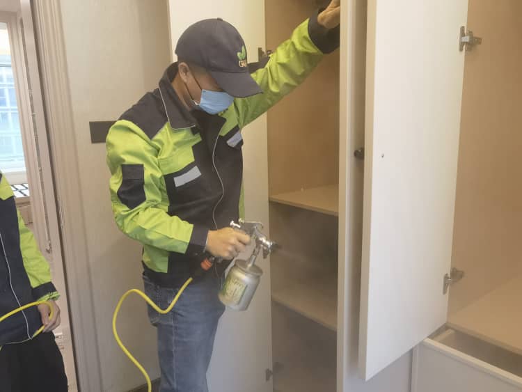 武汉新房主除甲醛,这妙招超管用