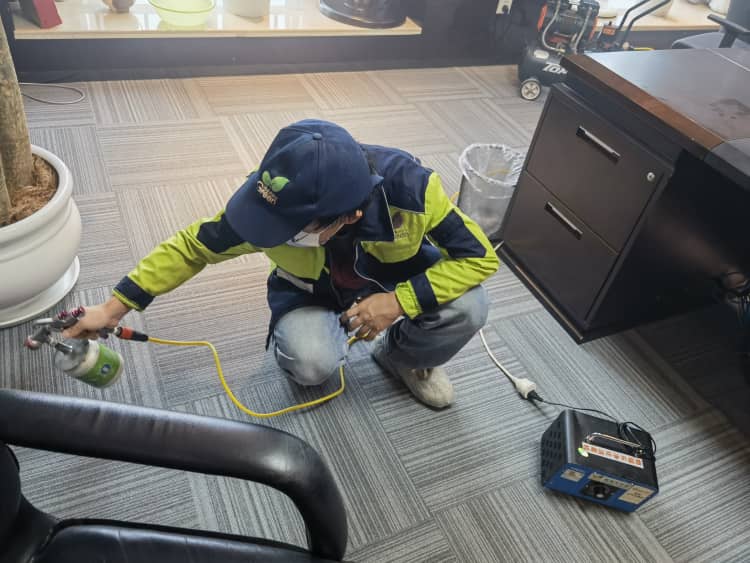武汉学校除甲醛！夏雨季赶紧搞，别耽误开学