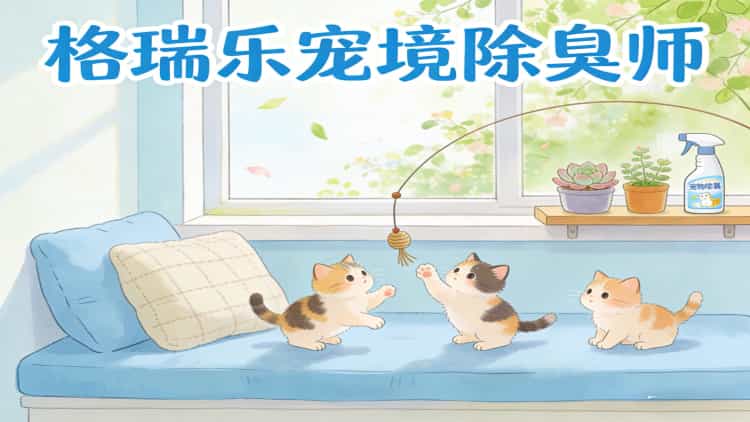 武汉养宠家庭看过来！格瑞乐宠物环境除臭服务，让爱与清新共存