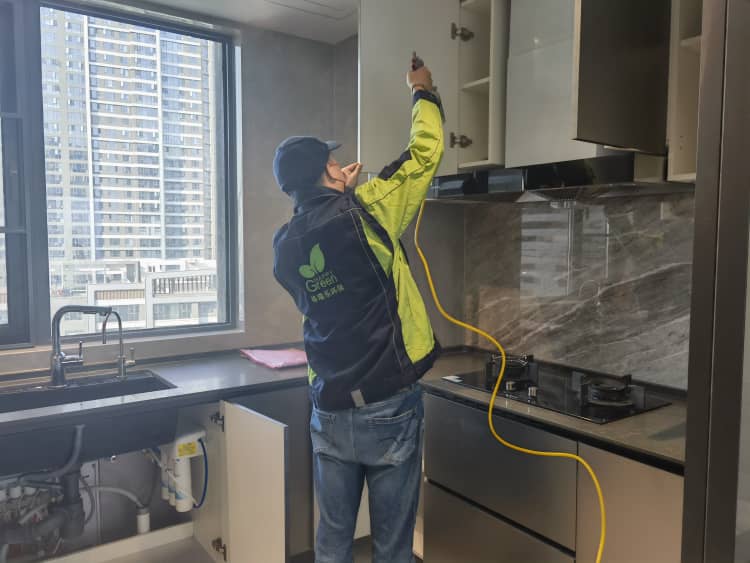 武汉新房除甲醛！10种吸醛植物+科学方案更靠谱