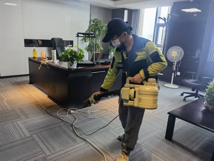 武汉新房除甲醛！10种吸醛植物+科学方案更靠谱